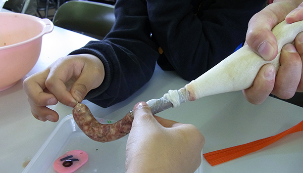 sausage